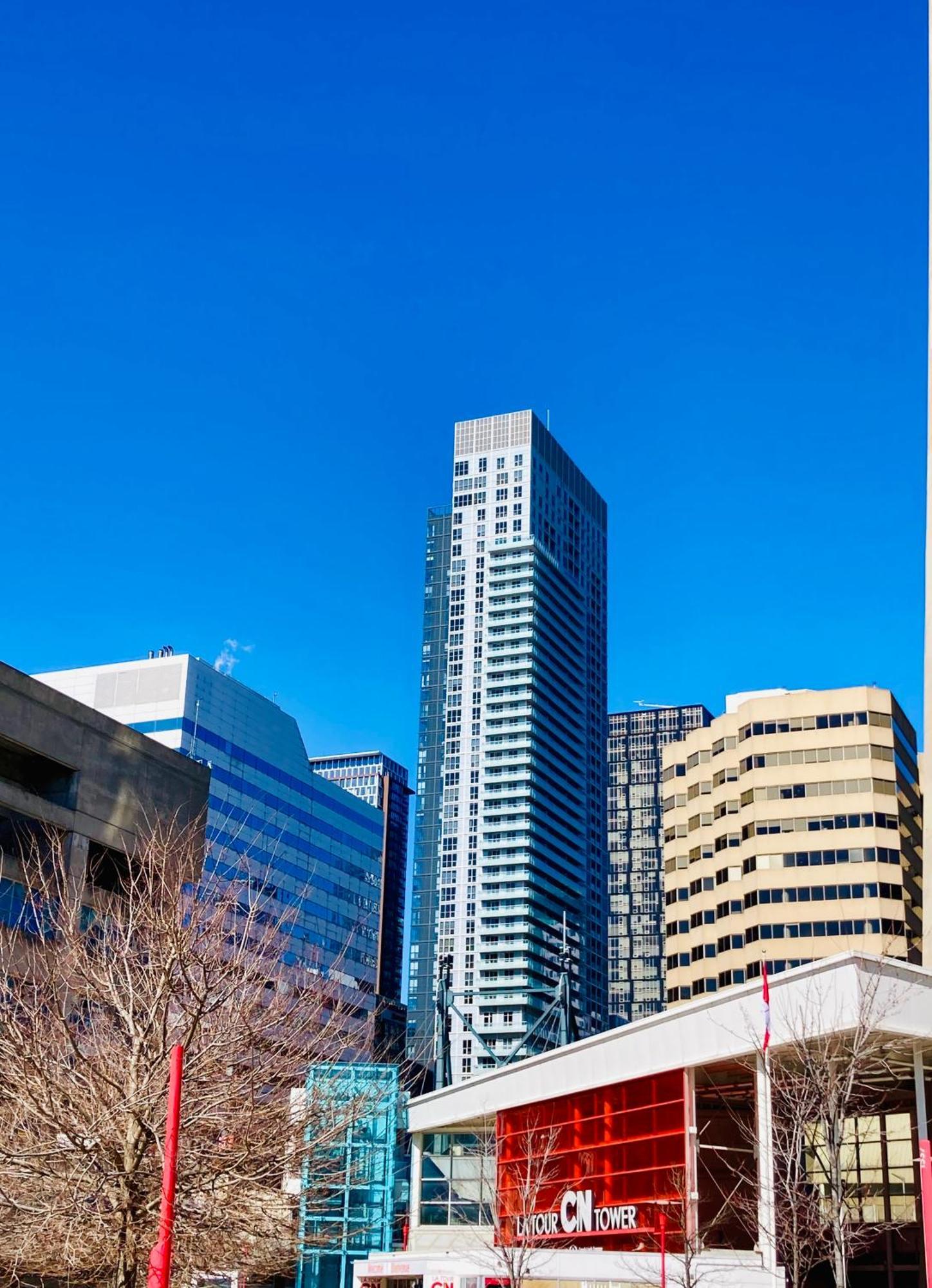 Central Toronto Suite - Free Parking, City Views, Near Cn Tower المظهر الخارجي الصورة